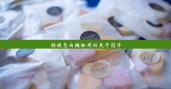 肠镜息肉摘除用的夹子图片