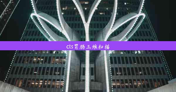 cts胃肠三维扫描