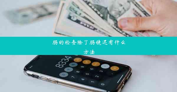 肠的检查除了肠镜还有什么方法