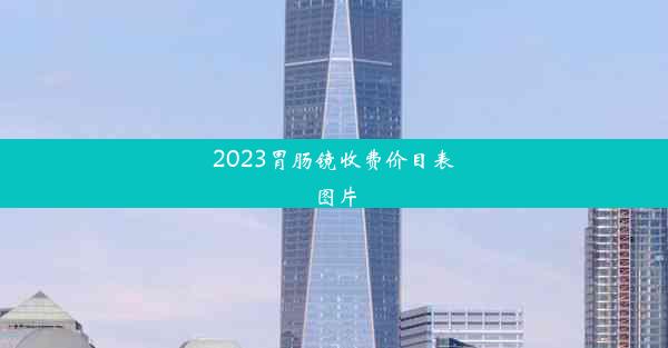 2023胃肠镜收费价目表图片