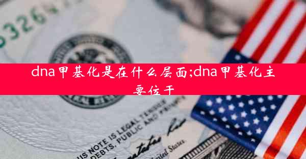 dna甲基化是在什么层面;dna甲基化主要位于