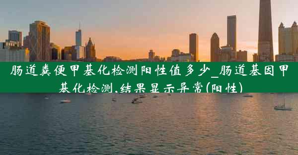 肠道粪便甲基化检测阳性值多少_肠道基因甲基化检测,结果显示异常(阳性)