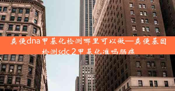 粪便dna甲基化检测哪里可以做—粪便基因检测sdc 2甲基化准吗肠癌