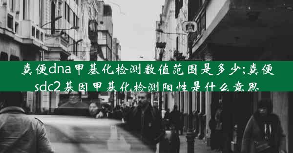 粪便dna甲基化检测数值范围是多少;粪便sdc2基因甲基化检测阳性是什么意思