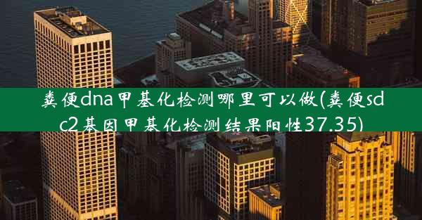 粪便dna甲基化检测哪里可以做(粪便sdc2基因甲基化检测结果阳性37.35)