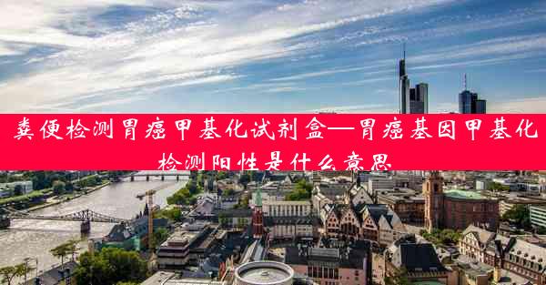 粪便检测胃癌甲基化试剂盒—胃癌基因甲基化检测阳性是什么意思